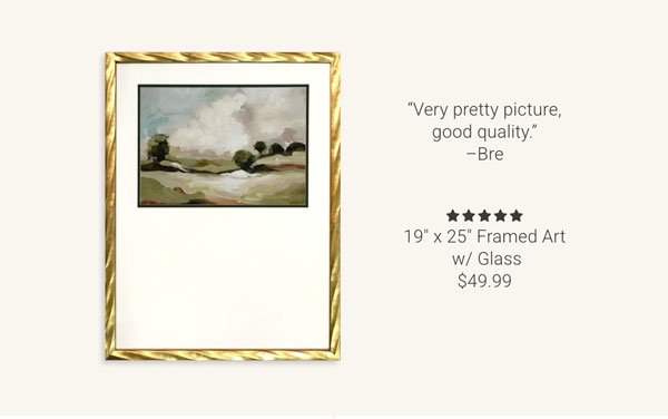 19" x 25" Framed Art w/ Glass 