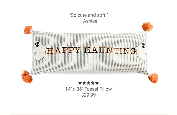 14" x 36" Tassel Pillow