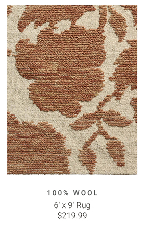6' x 9' Rug