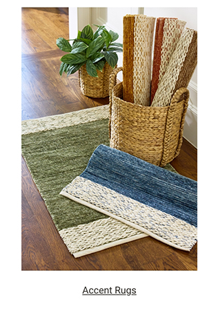 Accent Rugs >
