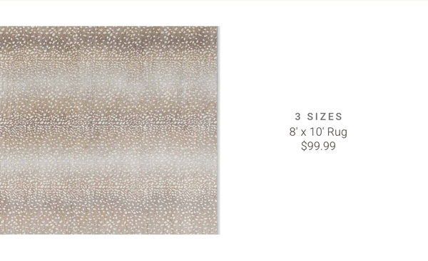 8' x 10' Rug