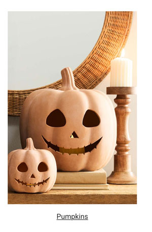Pumpkin Category - Shop Now