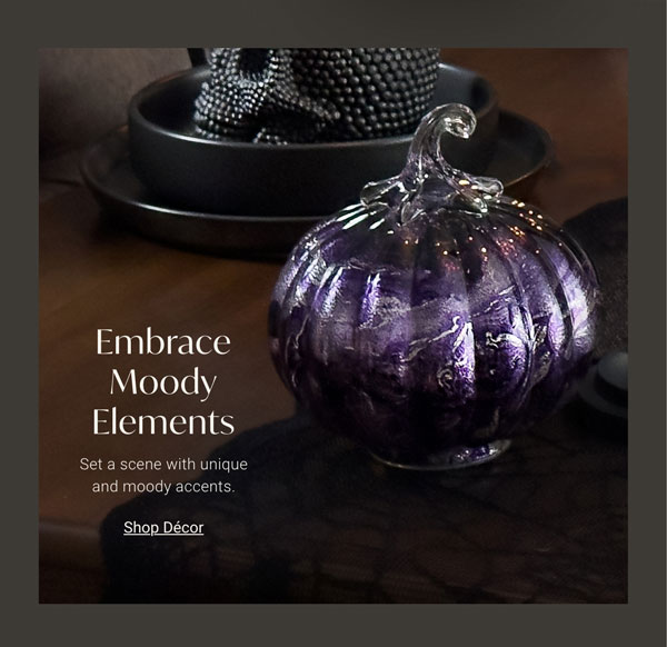 Embrace Moody Elements - Shop Decor