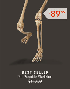 7ft Posable Skeleton