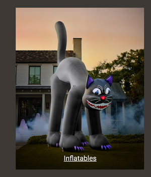 Inflatables Category