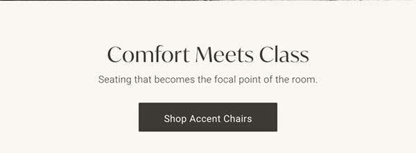 Comfort MEets Class: Seating that becomes the focal point of the room - Shop Accent Chairs
