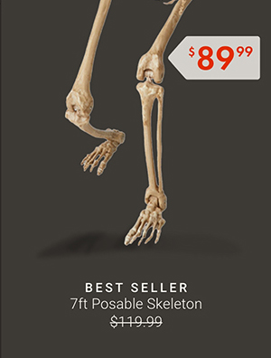 7ft Posable Skeleton