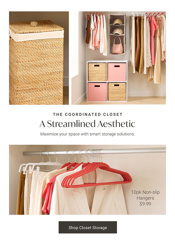 The Coordinated Closet: A Streamlined Aesthetic - Shop Closet Storage