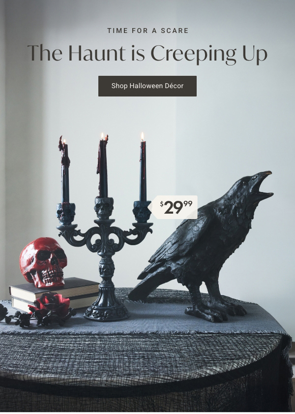 The Haunt is Creeping Up | Shop Halloween Décor >