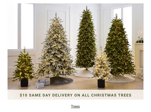 $10 Same Day Delivery All Christmas Trees