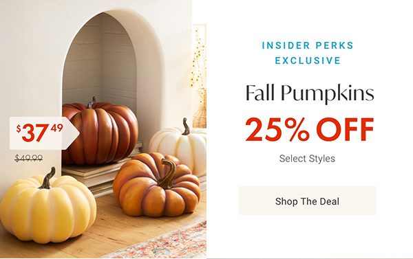 25% Off Select Fall Pumpkins | Shop Now >