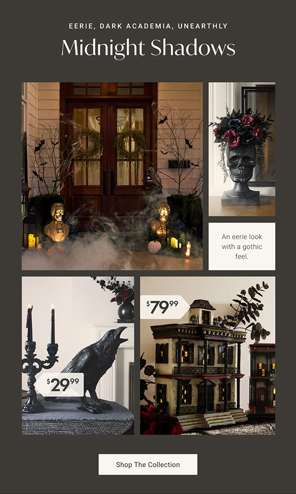 Midnight Shadows | Shop the Collection >