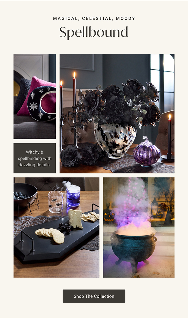 Spellbound | Shop the Collection >