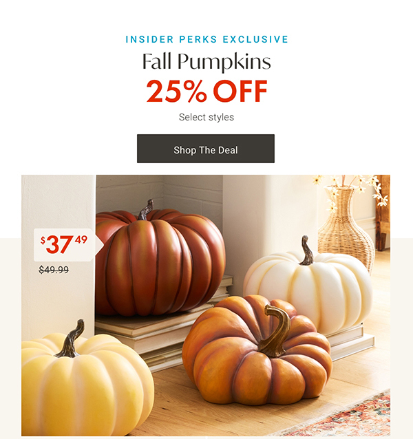 25% Off Fall Pumpkins | Shop Now >