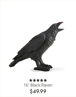 16" Black Raven