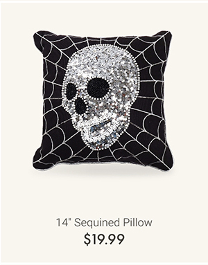 14" Sequined Pillow