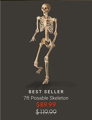 7ft Posable Skeleton