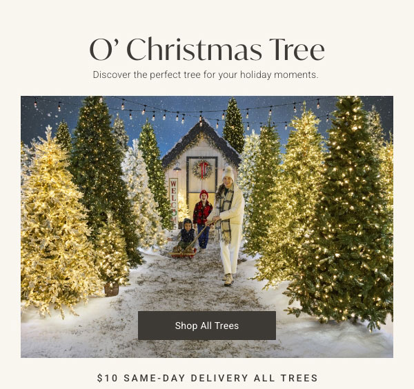 O' Christmas Tree - Shop All Trees - $10 Same-day Delivery All Trees