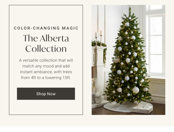 The Alberta Collection - Shop Now