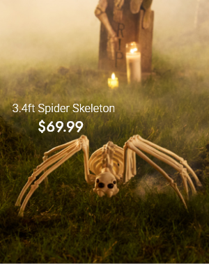 3.4ft Spider Skeleton