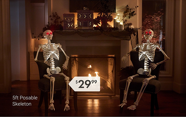 5ft Posable Skeleton
