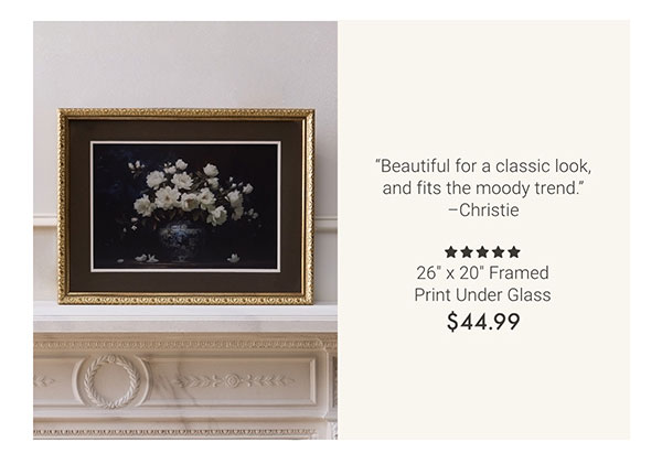 26" x 20" Framed Print Under Glass