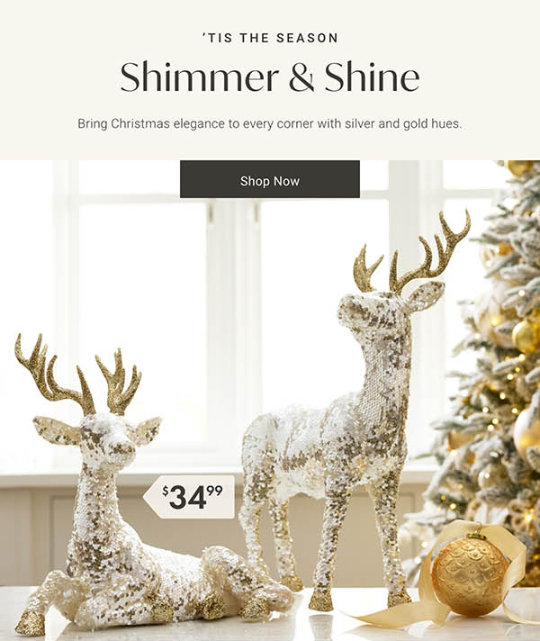 Simmer & Shine: Bring Christmas elegance to every corner with silver and gold hues. | Shop Now >