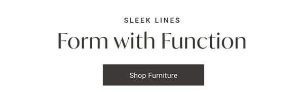 Sleek Lines: Form with Function - Shop Furniture