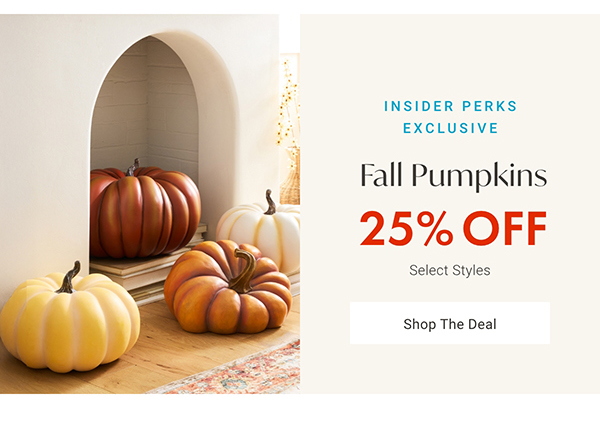 25% Off Fall Pumpkins | Shop Now >