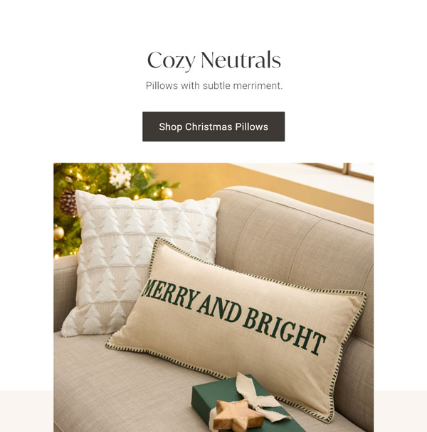 Cozy Neutrals - Shop Christmas Pillows
