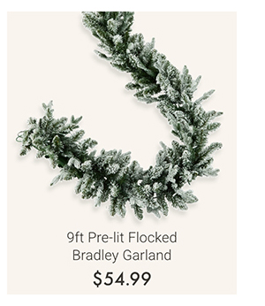 9ft Pre-lit Flocked Bradley Garland