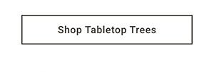 Shop Tabletop Trees >