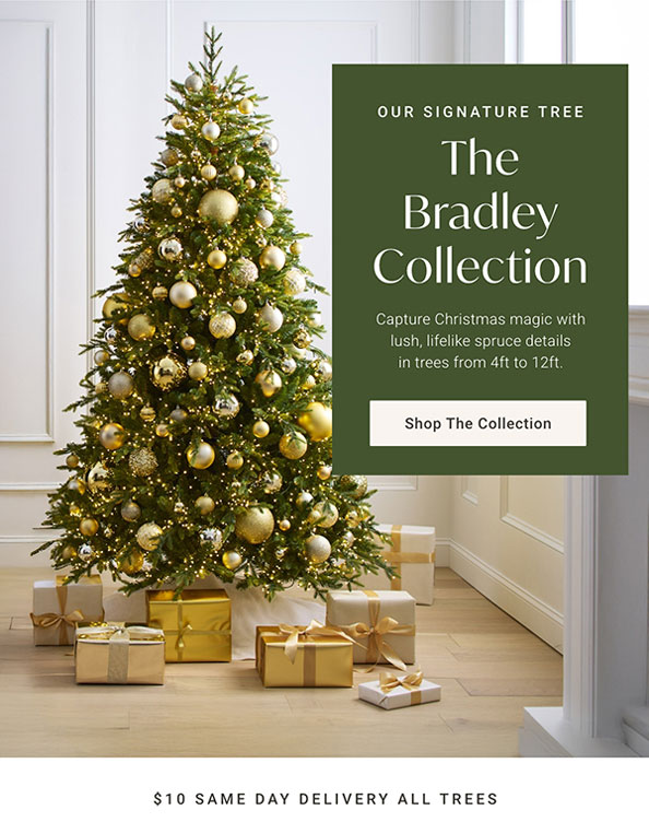 Our Signature Tree: The Bradley Collection - Shop Now