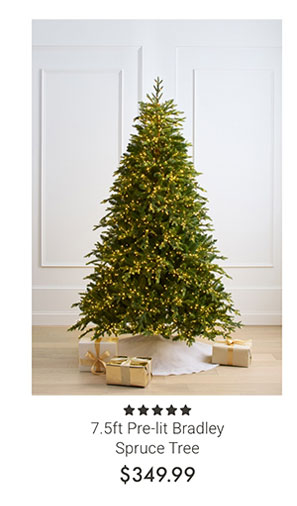 7.5ft Pre-lit Bradley Spruce Tree