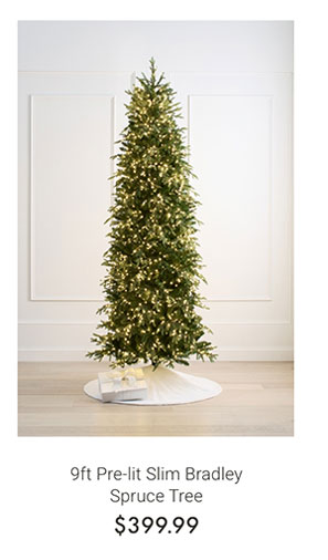 9ft Pre-lit Slim Bradley Spruce Tree