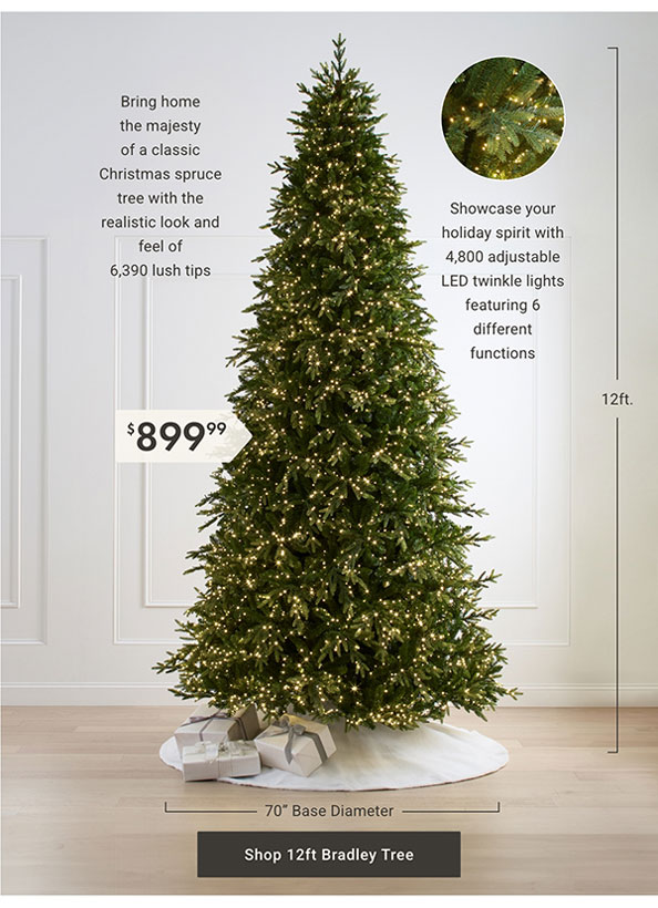 Shop 12ft Bradley Tree