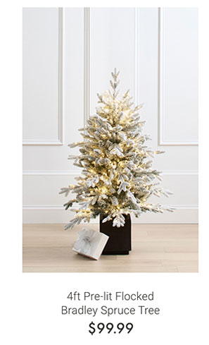 4ft Pre-lit Flocked Bradley Spruce Tree