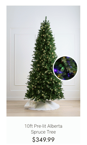 10ft Pre-lit Alberta Spruce Tree