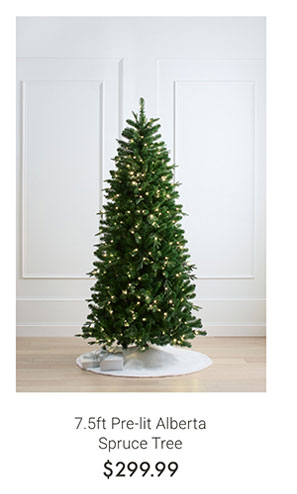 7.5ft Pre-lit Alberta Spruce Tree