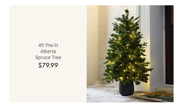 4ft Pre-lit Alberta Spruce Tree