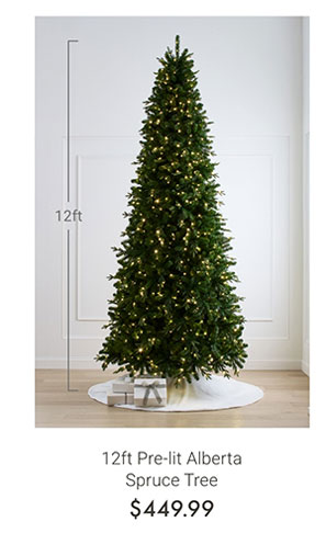 12ft Pre-lit Flocked Alberta Spruce Tree