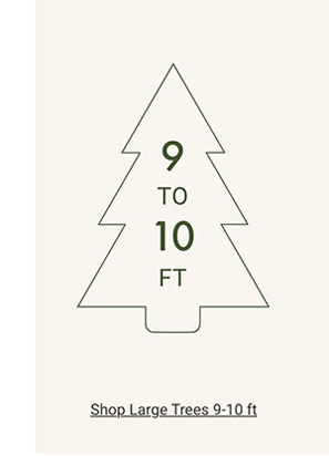 Shop Large Trees 9 - 10ft
