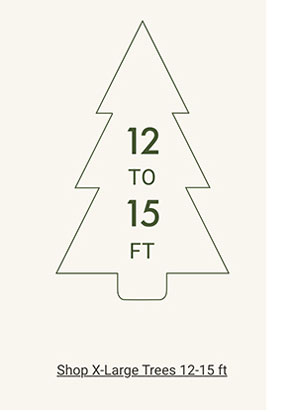 Shop Extra-Large Trees 12 - 15ft