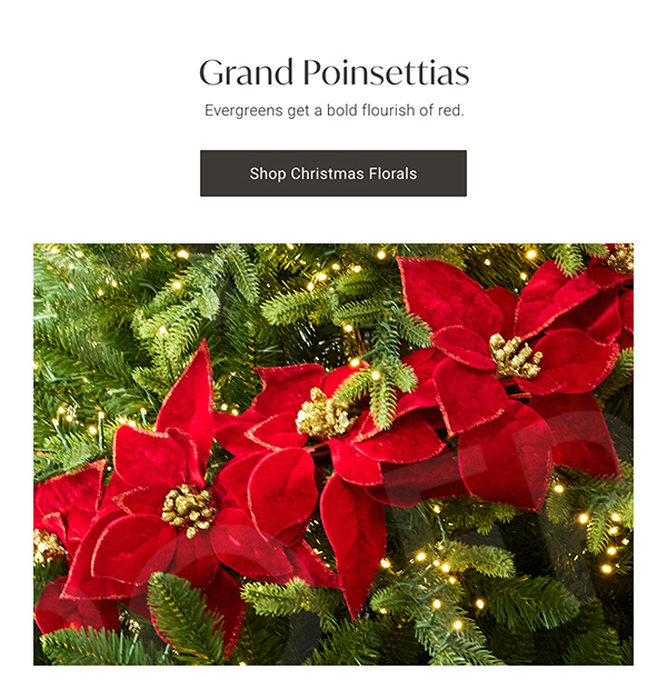Grand Poinsettias | Shop Christmas Florals >
