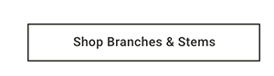 Shop Branches & Stems >