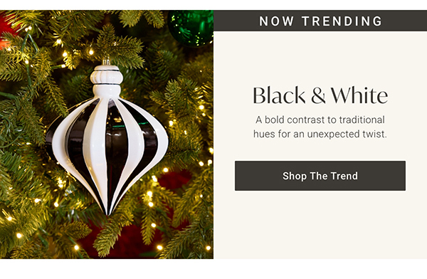 Black & White | Shop the Trend >