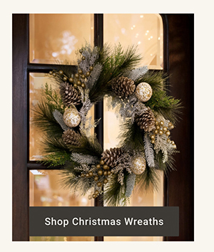 Shop Christmas Wreaths >