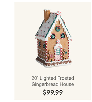 20" Lighted Frosted Gingerbread House