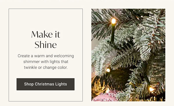 Make it Shine - Shop Christmas Lights