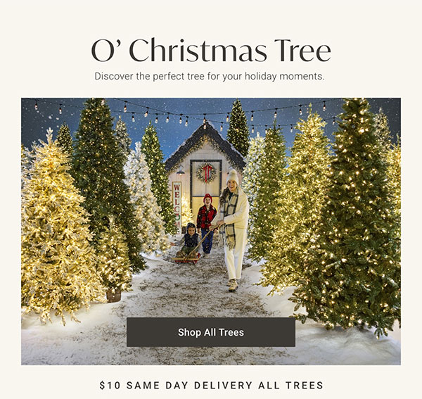 O' Christmas Tree - Shop All Trees